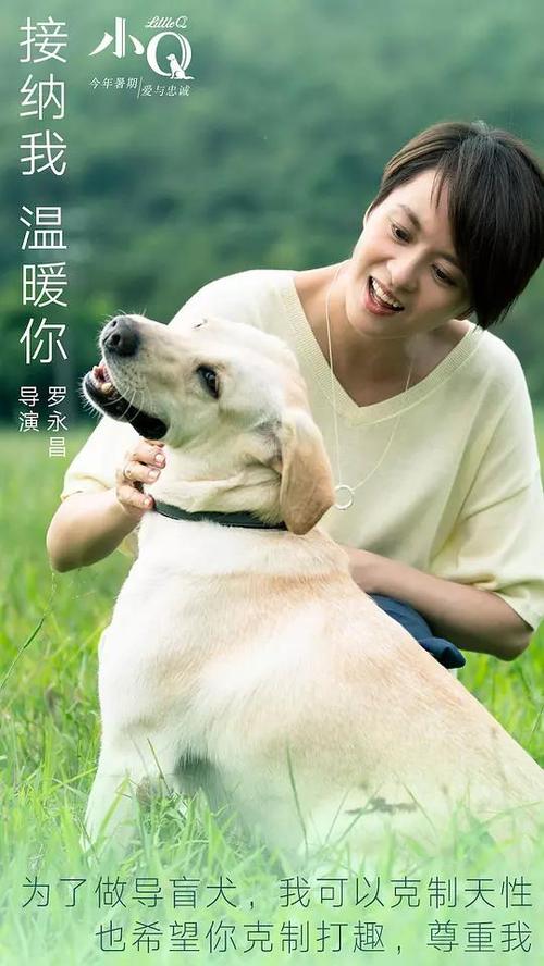 没有国内高中毕业证能出国留学吗